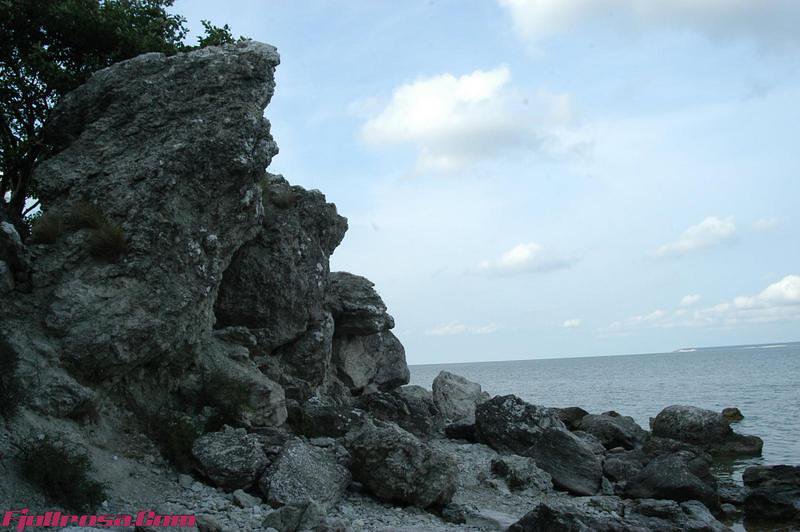 DSC 0392