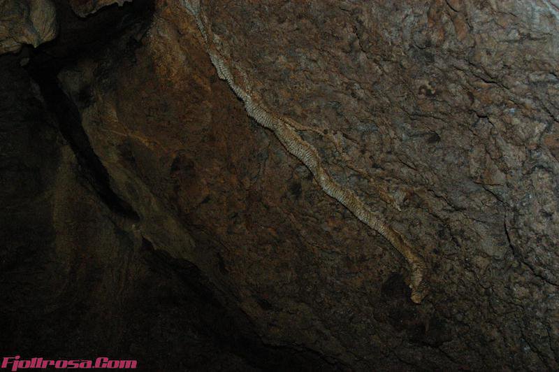 DSC 0715