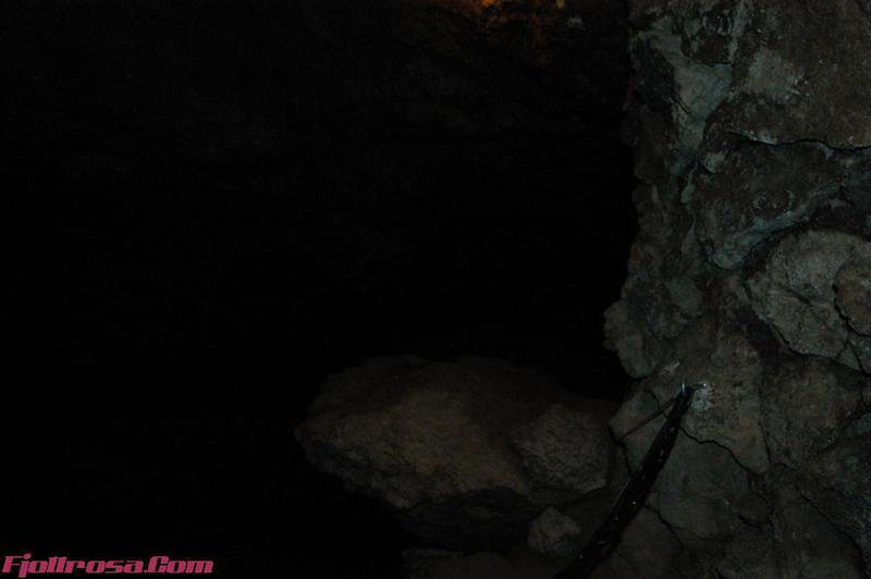 DSC 0732