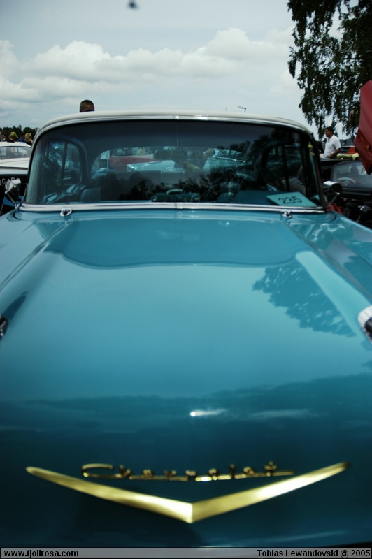 DSC 0355