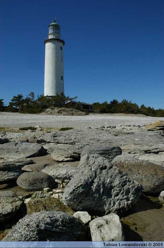 DSC 4450