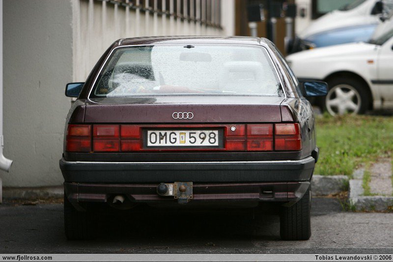  MG 3769