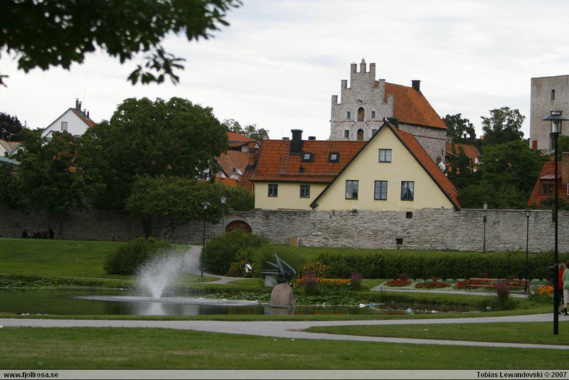 _MG_7314.JPG