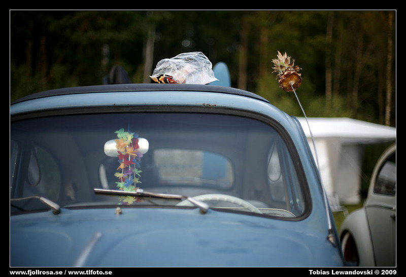 _MG_2450.jpg