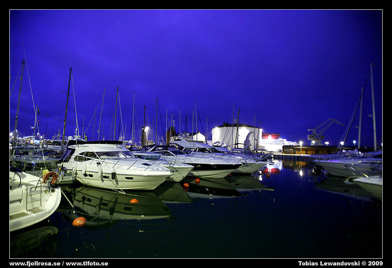 _MG_3425.jpg
