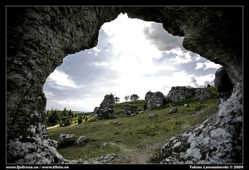 _MG_4225.jpg