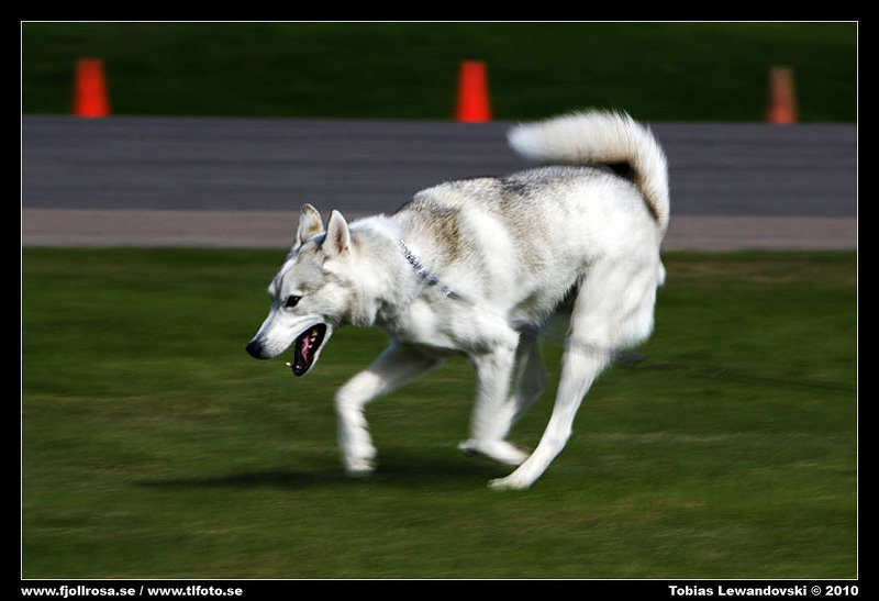 _MG_3602.jpg