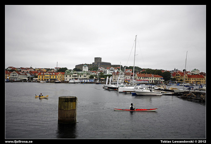 _MG_8790.JPG