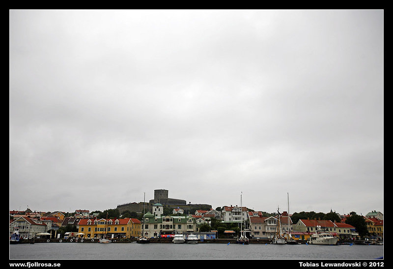 _MG_8791.JPG