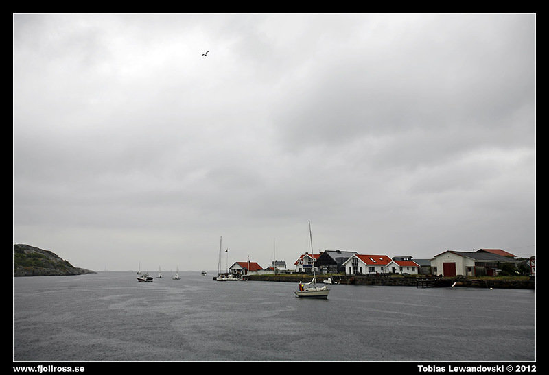 _MG_8795.JPG