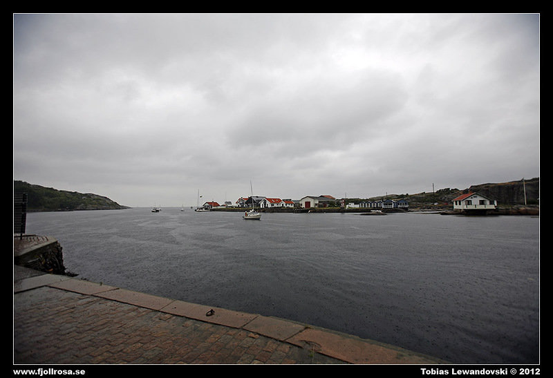 _MG_8796.JPG