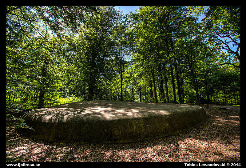 MG 2376 HDR LR
