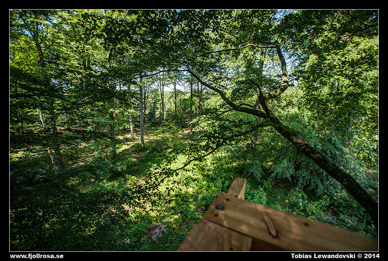  MG 2413 HDR LR