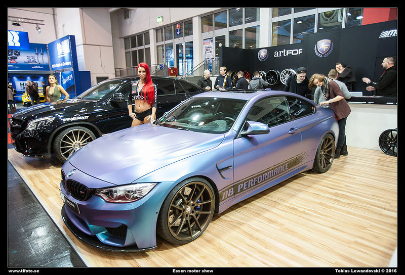  MG 8184