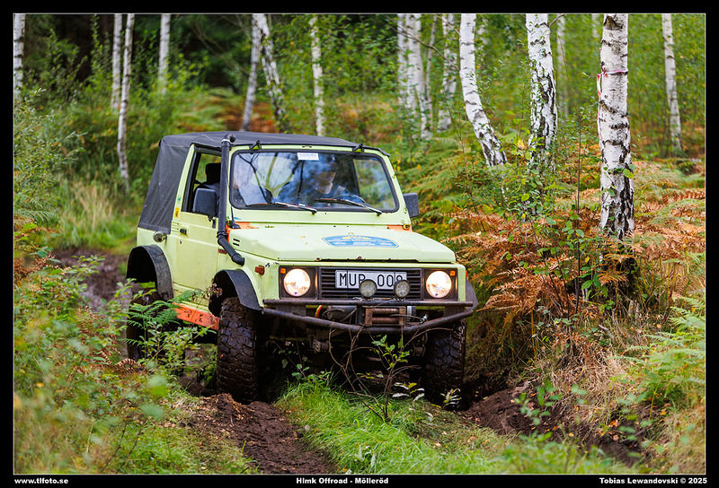 098A1993