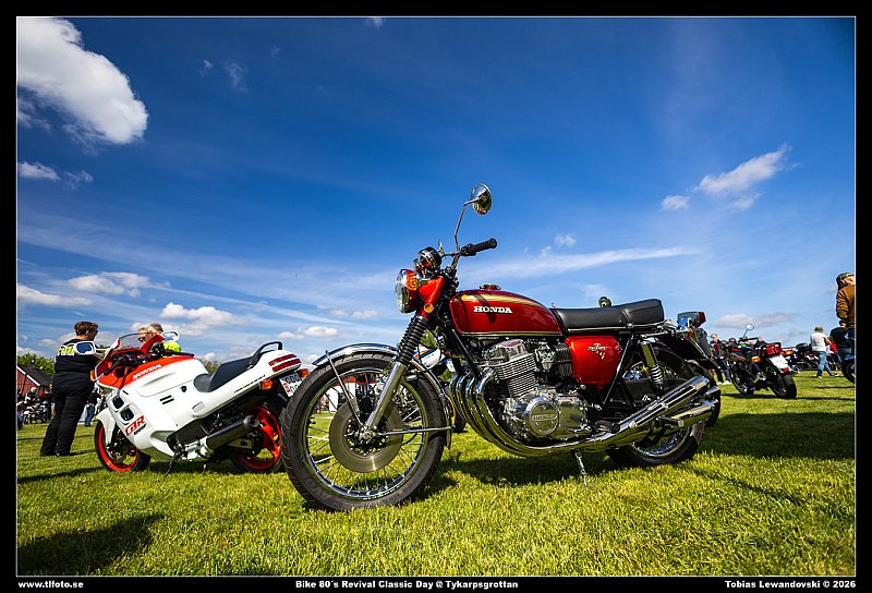 5C1A8594