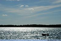 DSC 4574