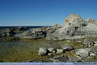 DSC 4681