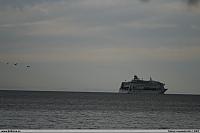 _MG_7278.JPG