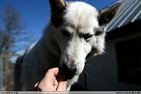 IMG_4327.JPG