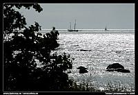6L8D1847.jpg