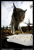 _MG_6400.jpg