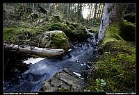 _MG_6564.jpg