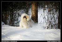 _MG_7150.jpg