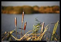 _MG_6083.jpg