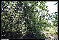 _MG_8978.JPG