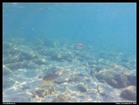 DSCN3347