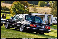 098A2113