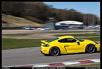 098A2419