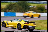 Yellow group